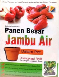 Panen Besar Jambu Air dalam Pot